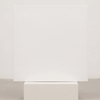 Artist Canvas