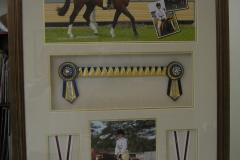 Sporting Memorabilia