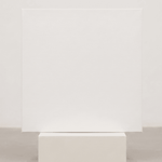 Artist Canvas