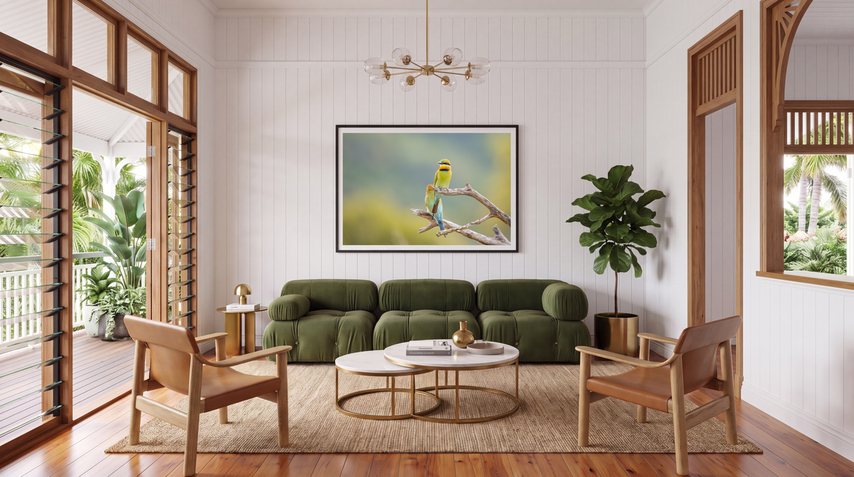 Bee Eaters by Shane Oates
