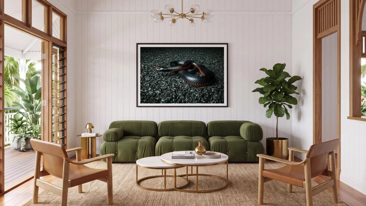 A framed wall art print depicting a dark snake on a textured black background, displayed in a modern living room setting above an olive green sofa.
