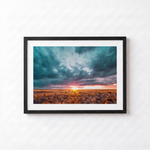 Country Sunset by Shane Oates