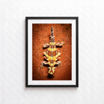 Thorny Lizard by Shane Oates